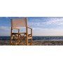 Director folding armchair
