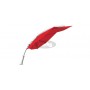 Icarus umbrella