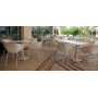 Universe stol z rokonasloni