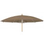 Alexo umbrella