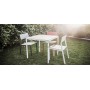 Egoe Cora chair