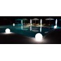 PENELOPE light element