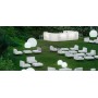 IGOLO light bar counter