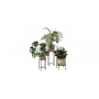 Vivi plant stand large