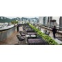 Roxy dining chair