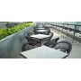 Roxy dining chair