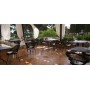 Roxy dining chair