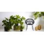 Roxy dining chair
