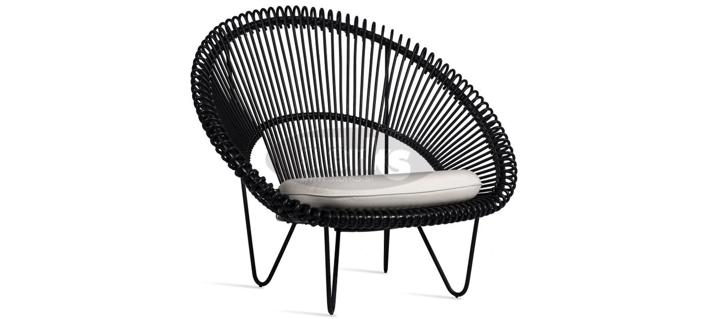 Roy Cocoon