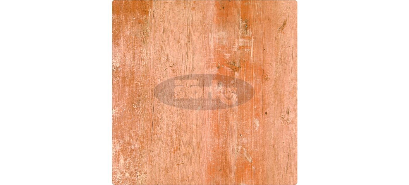 295 Finduss mizna plošča