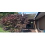 R250 Pergowave 4 x 8 m