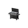 Gas barbecue 1000 FGA