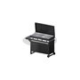 Gas barbecue 1000 FGA