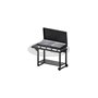 Gas barbecue 1000 FGA