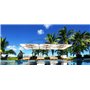 Ocean Master MAX Classic Cantilever