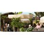 Frou Frou Parasol