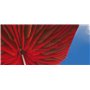 Paddo Parasol