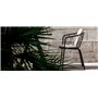 Daisy armchair