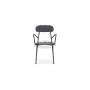 Fox armchair