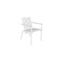Egoe Axis chair with armrests, thermo ash