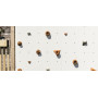 Egoe LEVA climbing wall, plywood, setting