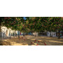 Egoe U piknik set za 4 osebe, U6-221, ambient