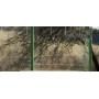 Egoe X bus stop shelter with glass roof 2,8 x 1,7 m, X1-200R-SS, setting