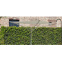 Extremis Acacia suncobran, ambijent 29