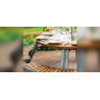Extremis Gargantua picnic table, setting 10