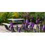 Extremis Hopper picnic table, wood, setting 12