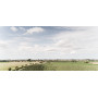 Extremis Manille Picknicktisch, Ambiente 19