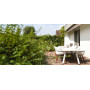 Extremis Marina Tisch, Ambiente 4