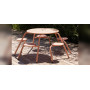 Extremis Virus picnic table, setting 1
