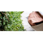 Extremis Walrus lounge modul, ambient 1