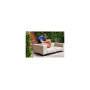 Extremis Walrus Lounge-Set, Ambiente 4