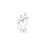 Plust Cactus pot, dimensions
