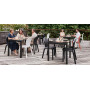 Plust Chloé stolica, ambient