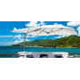 Tuuci Ocean Master MAX Classic Cantilever ombrellone, ambiente