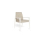 Tuuci Brickell Dining Arm Chair, view 2
