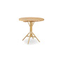 Sika-Design plošča mize Ø 80 cm, tik, pogled 4