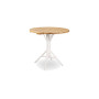 Sika-Design plošča mize Ø 80 cm, tik, pogled 7