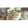 Sika-Design Isabell chair, Cappuccino w/ white dot, ambient