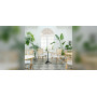 Sika-Design Monique armchair, ambient