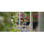Sika-Design Madeleine chair, Black, ambient