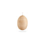 Sika-Design Hanging Egg hanging chair, view 2