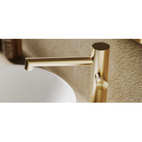 Tall washbasin mixer Flamingo F50H