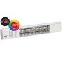 TERM 2000 COLOR IP67 infrared heater