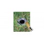 Torch holder for soil mounting