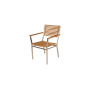 Barlow Tyrie Equinox sedia da pranzo con braccioli (teak)
