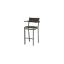 Barlow Tyrie Equinox sedia alta con braccioli (verniciato), Graphite 01, Carbon Sunbrella® 513